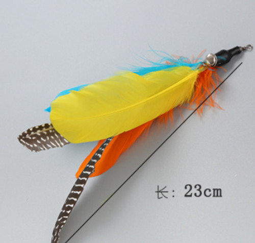 Rainbow feather