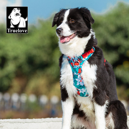 Dog Harness - TrueLove No-Pull Harness - 2 Colour