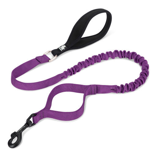 TrueLove Bungee Lead - Special Colour