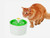 Cat / Dog - Water Fountain