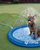 Summer Cooling - Sprinkler Mat for Dogs