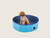 Ooutdoor-SUMMER POP-UP Dog Swimming Pool