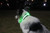 Outdoor Gear-Glow-in-Dark LED Rechargeable Dog Collar