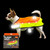 Outdoor Gear-LED High-Vis Glow Dog Raincoat