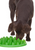 Bowl - Interactive Green - Catchmate