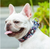 Dog Collar - True Love Hypoallergenic Cotton Floral