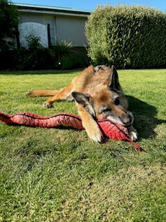 Summer Is Here… and So Is Our Fresh New Stock ?☀️