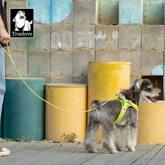 TrueLove Rainbow Rope Leash