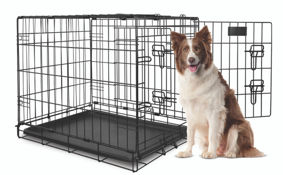 Yours Drooly Crate Black M