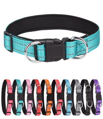 Dog Collar - Nylon Padded Dog Collar
