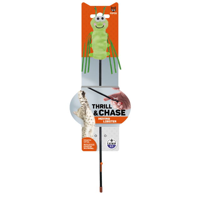 Cat Wand-Wandering Caterpillar