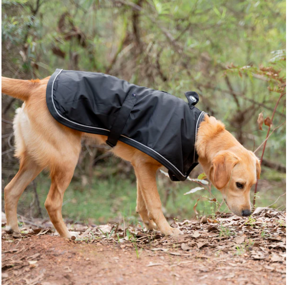 Huskimo Summit Dog Coat

Keep your dog warm, dry, and comfortable through winter adventures. The Huskimo Summit Coat is waterproof and wind-resistant, featuring a protective collar to help prevent water entering around the neck. Designed for everyday practicality and style, it includes hi-viz reflective piping and a light loop for attaching an LED light—perfect for safer evening or early morning walks.