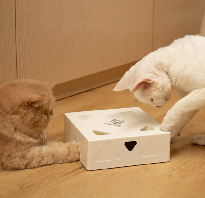 Cat Toy - Erraticat Interactive Toy