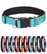 Dog Collar - Nylon Padded Dog Collar