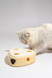 Interactive Cat Toy - Fofo Cheese