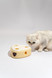 Interactive Cat Toy - Fofo Cheese