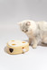 Interactive Cat Toy - Fofo Cheese