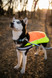 Dog Coat - LED High-Vis Glow Dog Raincoat