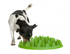 Bowl - Slow Feeder - Green
