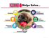 Dog Toy - Kong Classic Red L