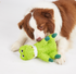 Dog Toy - Tough