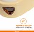 Cat Toy-Interactive Cheese Box