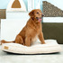 Cozy Tails Shredded Memory Foam Beige MEDIUM - 89/58/10 CM