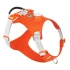 Harness TL with LED Light