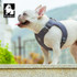 Dog Harness - TrueLove ECO Harness