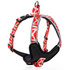 Dog Harness - Basic Zig Zag