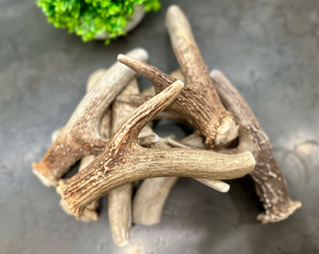 Platinum Ranch - Deer Antler