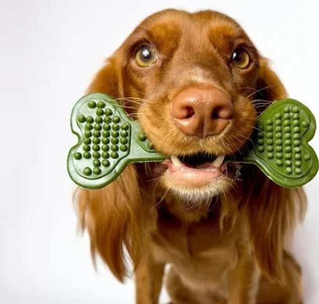 Maks Patch - Veggie Dog Treats