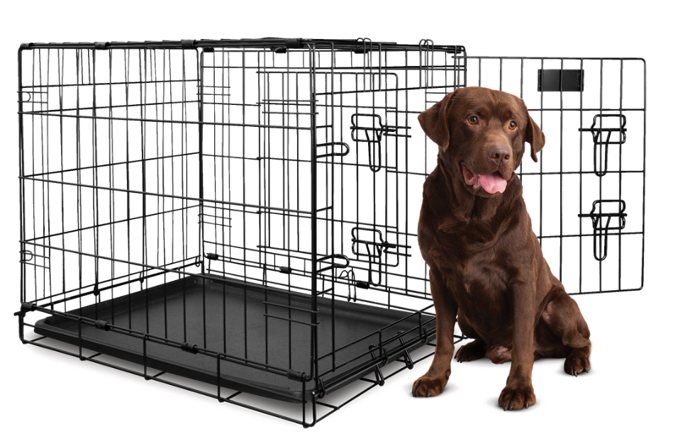 Dog Crates