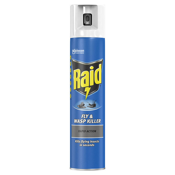 Raid Fly/Wasp Kill Spray 300ml