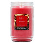 Candle Jar Cinnamon 20oz
