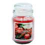 Candle Jar Apple Cinnamon 18oz