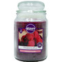 Airpure Candle Jar Raspberry Bliss 18oz