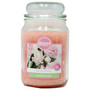Airpure Candle Jar  Blush Peony 18oz