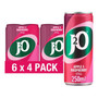 J20 Apple & Raspberry Can 250ml 6 Pack