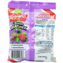 Maynards Classic Fruits Bag 110g