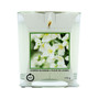 Candle Jar Jasmine Blossom 170g