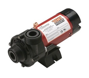 1/16 HP 240V Tiny Might Pump, 1Sp thumbnail 2