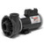 Waterway Viper Pump 56F 5HP 2 Speed #3722021-1VOB