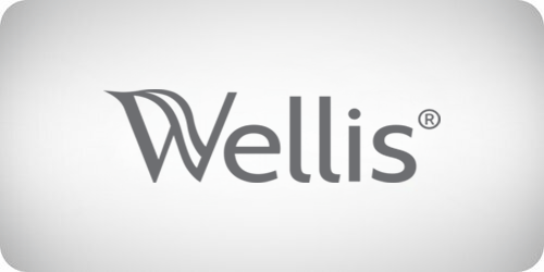 Wellis® Hot Tub Filters