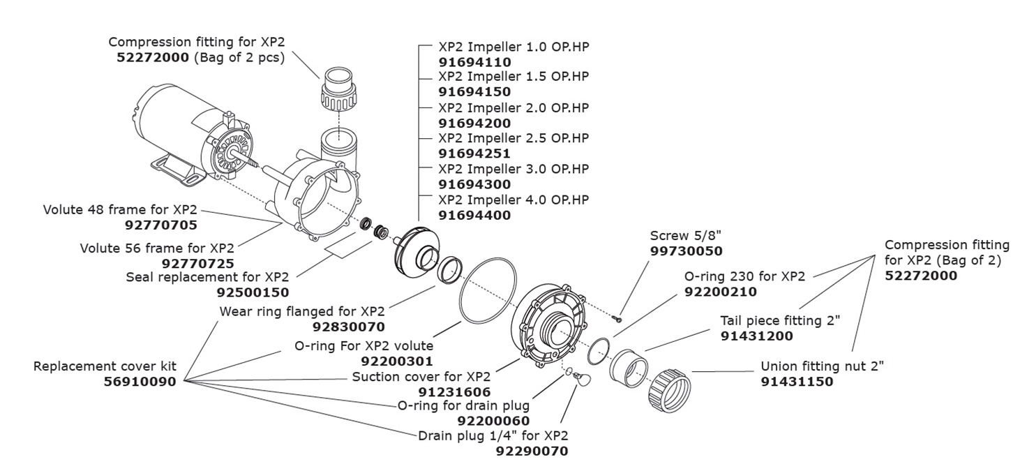 1619-xp2.jpg