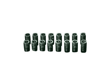 HKS - 4AGE 16v Valve Springs