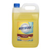 Northfork Lemon Disinfectant Hospital Grade 5L