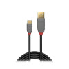 LINDY 0.5m USB2 Type A to C
