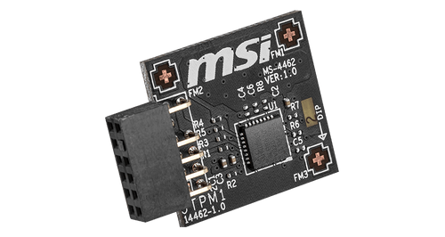 MSI TPM 2.0 Module (MS-4462) SPI Interface, 12-1 Pin, Supports MSI Intel 400 Series Motherboards and MSI AMD 500 Series Motherboards