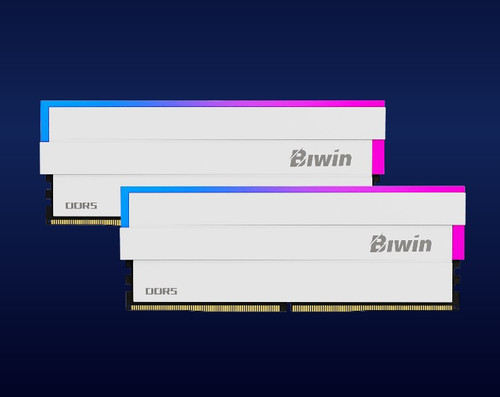 BIWIN DDR5 Memory DW100 DDR5 RGB Memory 6000mhz 32GB (16GB*2) CL30-38-38-76 1.35V  WHITE B5DW100326030ER2G-CW001